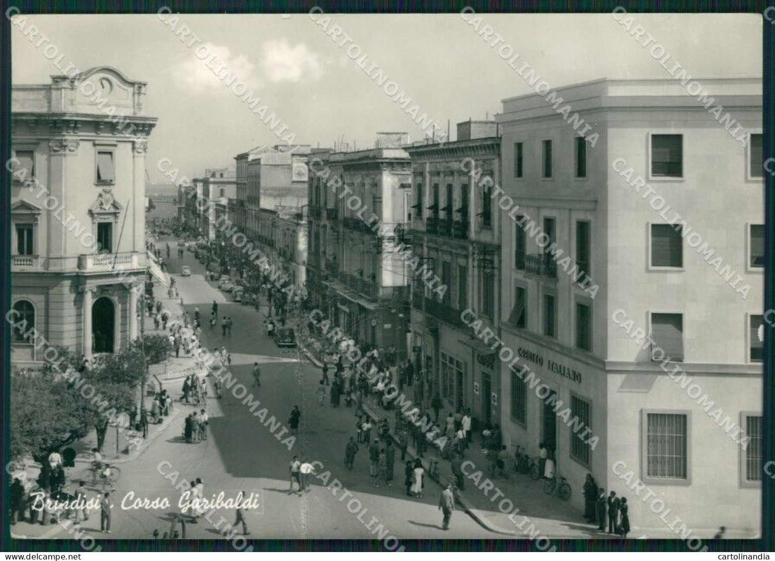 Brindisi Città Foto FG Cartolina ZK4467 - Brindisi