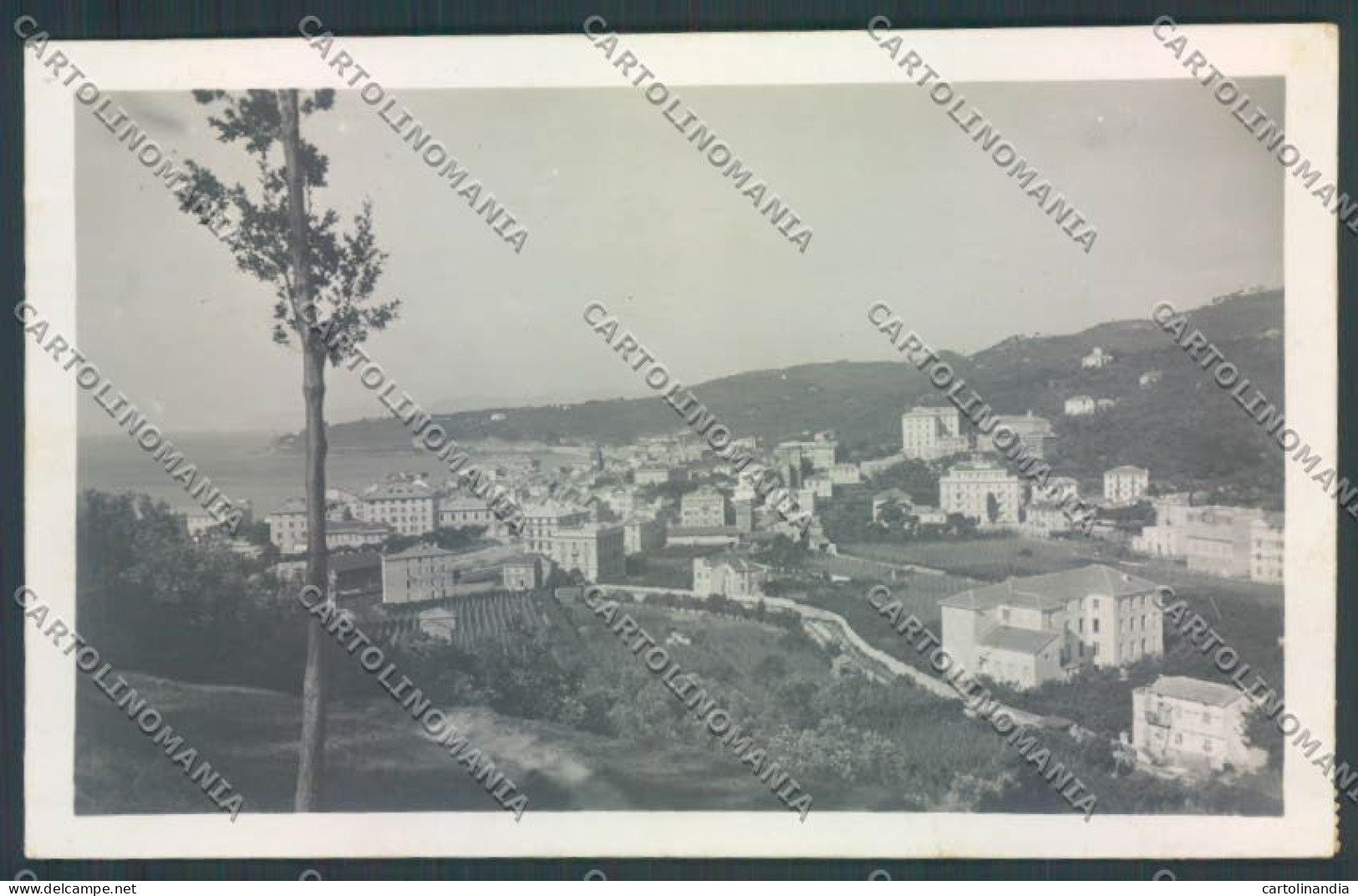 Savona Varazze Foto Cartolina ZQ0629 - Savona