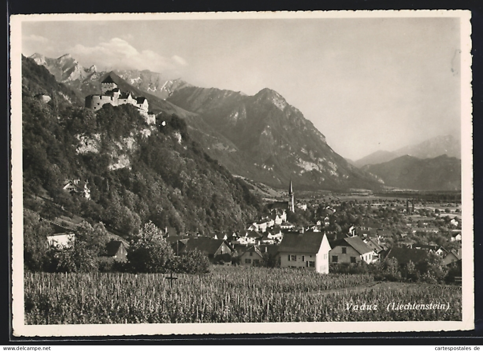 AK Vaduz, Ortsansicht Mit Schloss Aus Der Vogelschau  - Liechtenstein