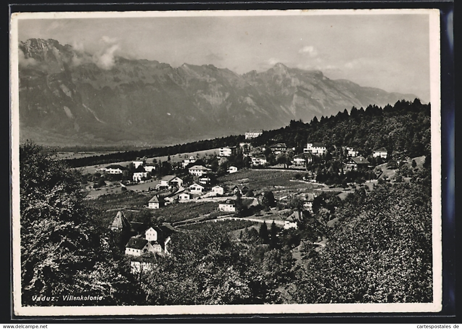 AK Vaduz, Villenkolonie Mit Bergkulisse  - Liechtenstein