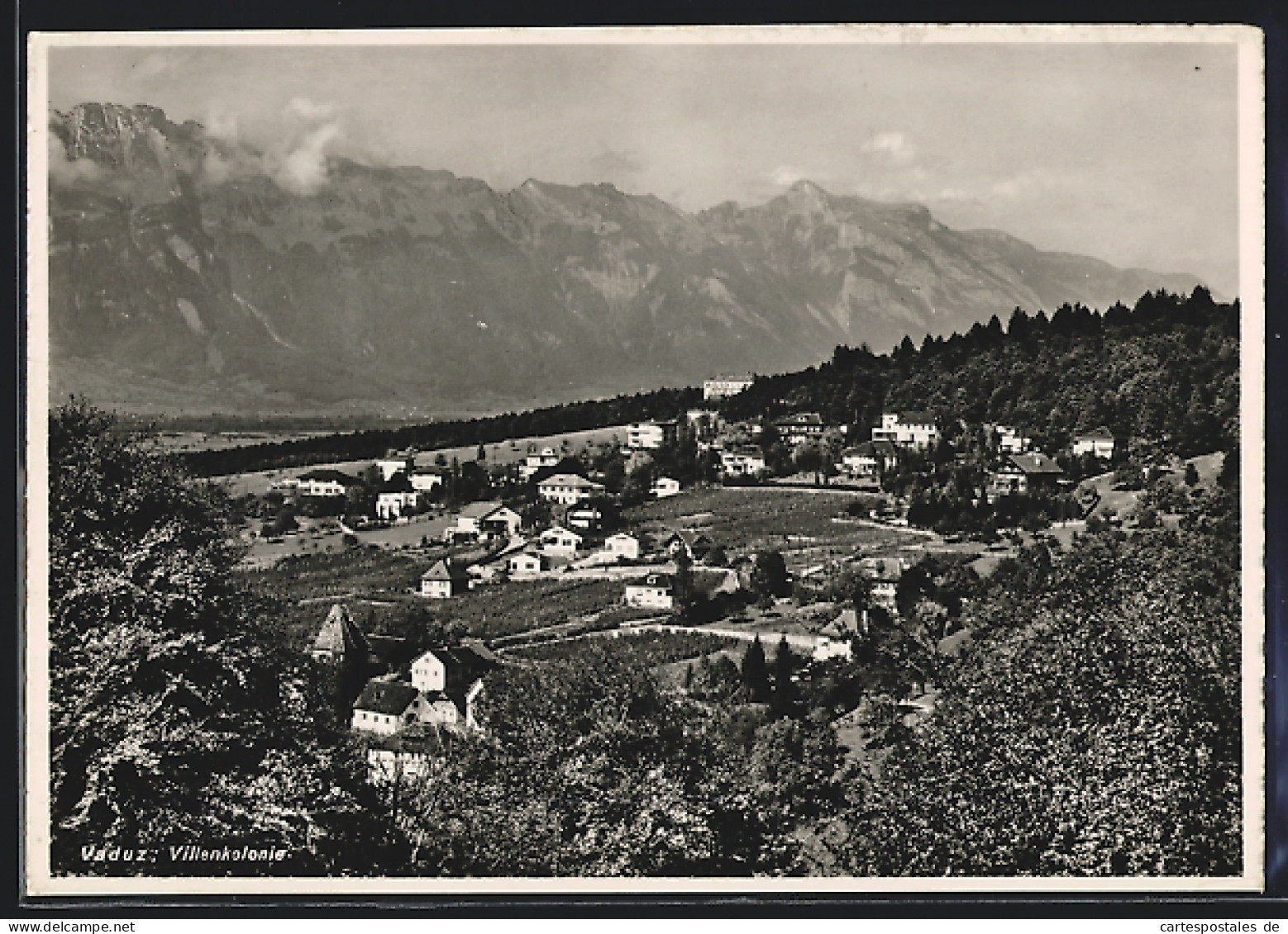 AK Vaduz, Villenkolonie, Von Oben Gesehen  - Liechtenstein
