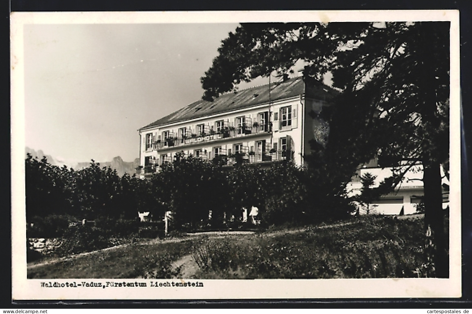 AK Vaduz, Waldhotel Im Sonnenschein  - Liechtenstein