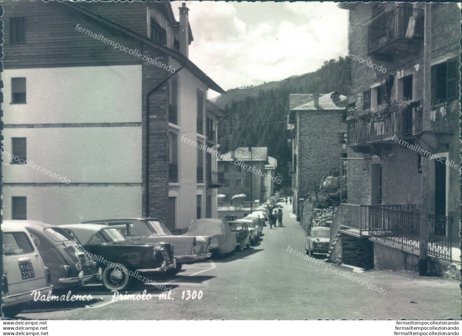 D621 - Cartolina Provincia Di Sondrio - Valmalenco - Primolo - Sondrio