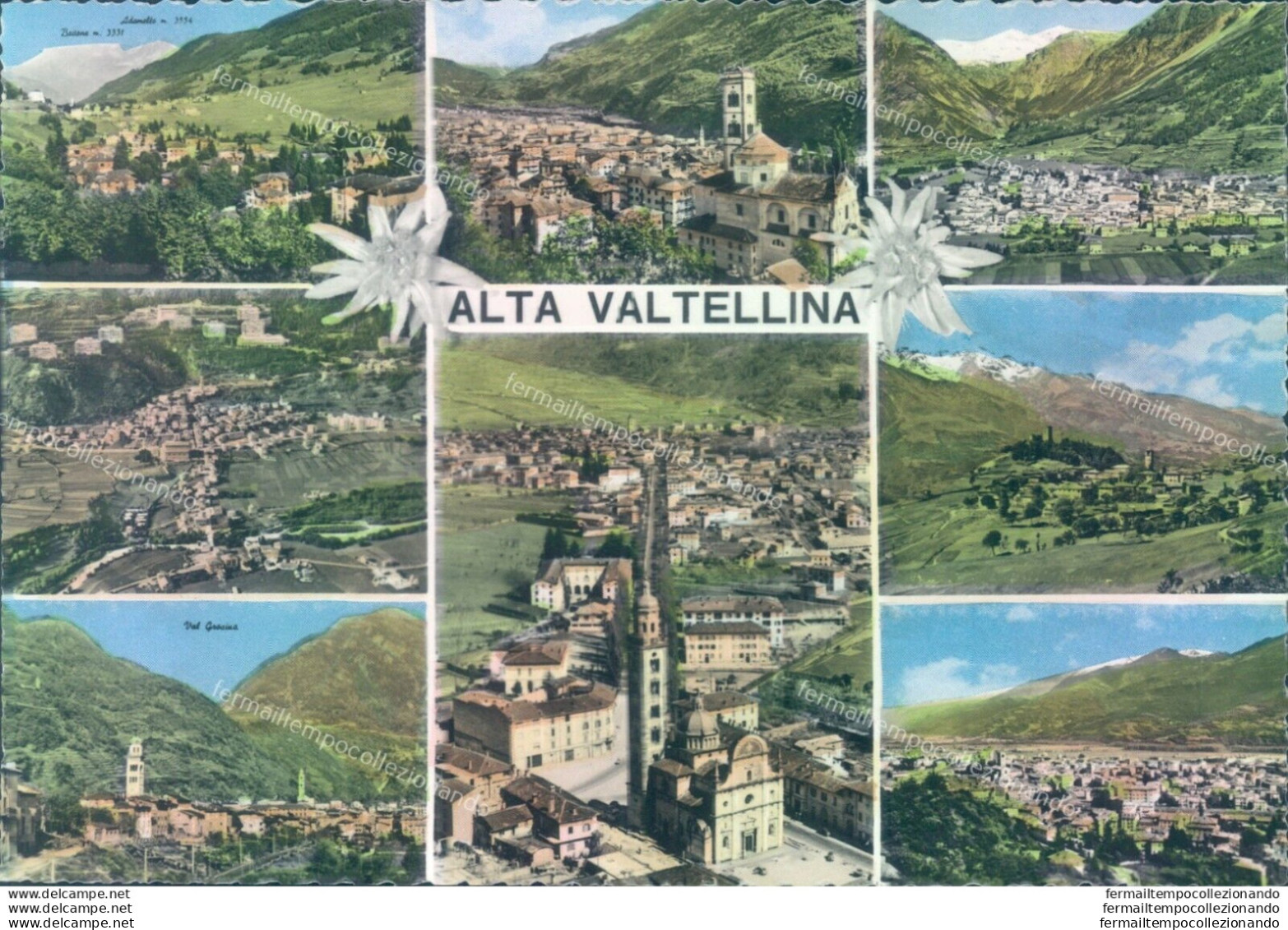 O624 Cartolina  Alta Valtellina Provincia Di Sondrio - Sondrio