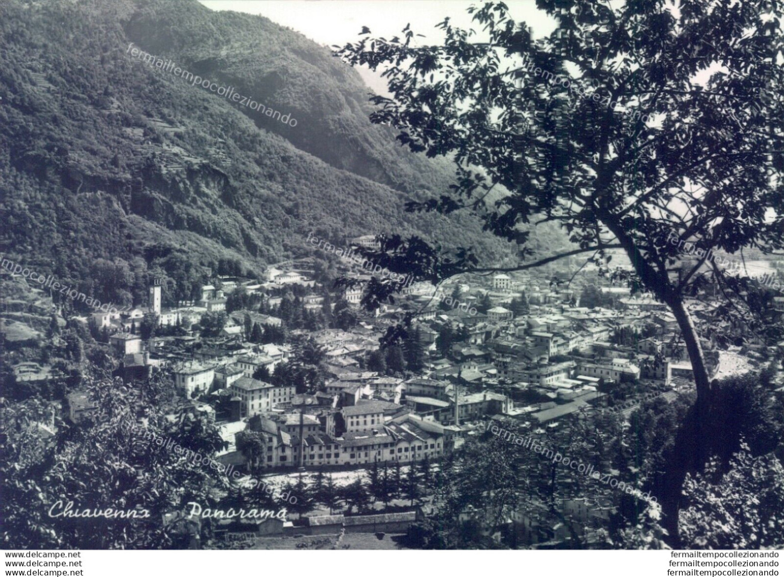 M584 Cartolina Chiavenna Panorama Provincia Di Sondrio - Sondrio