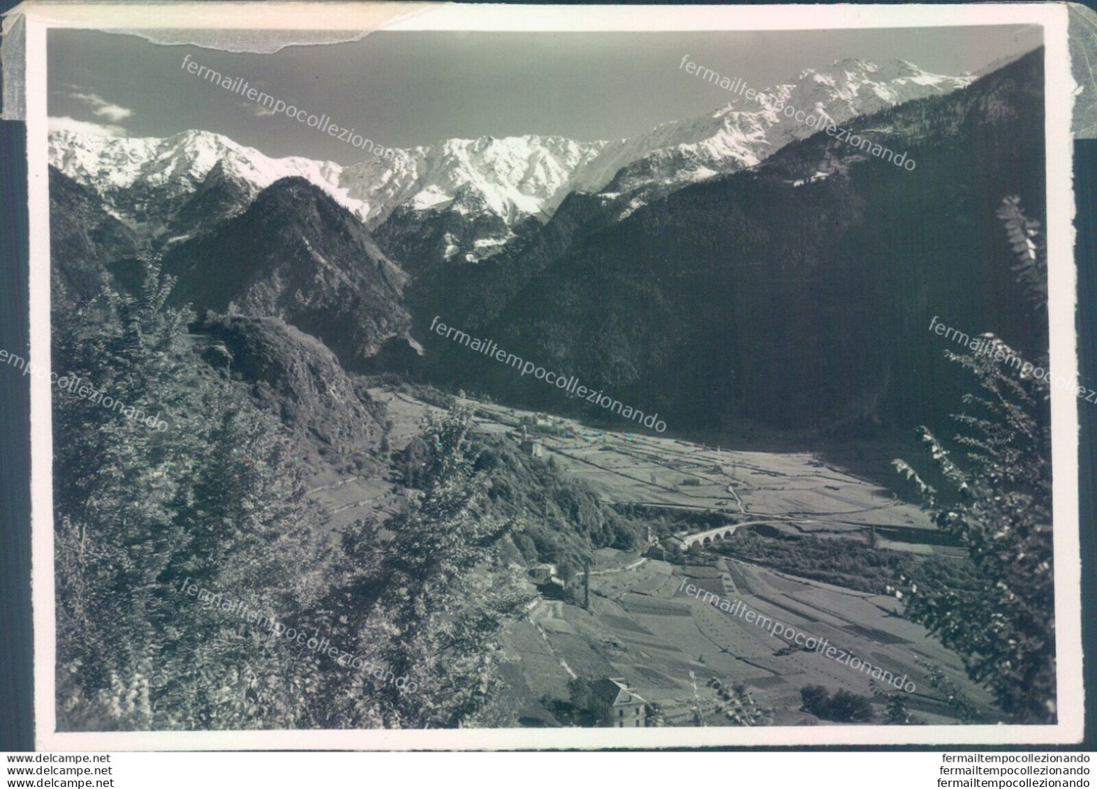 D579 - Bozza Fotografica  Provincia Di Sondrio- Sondalo - Sondrio