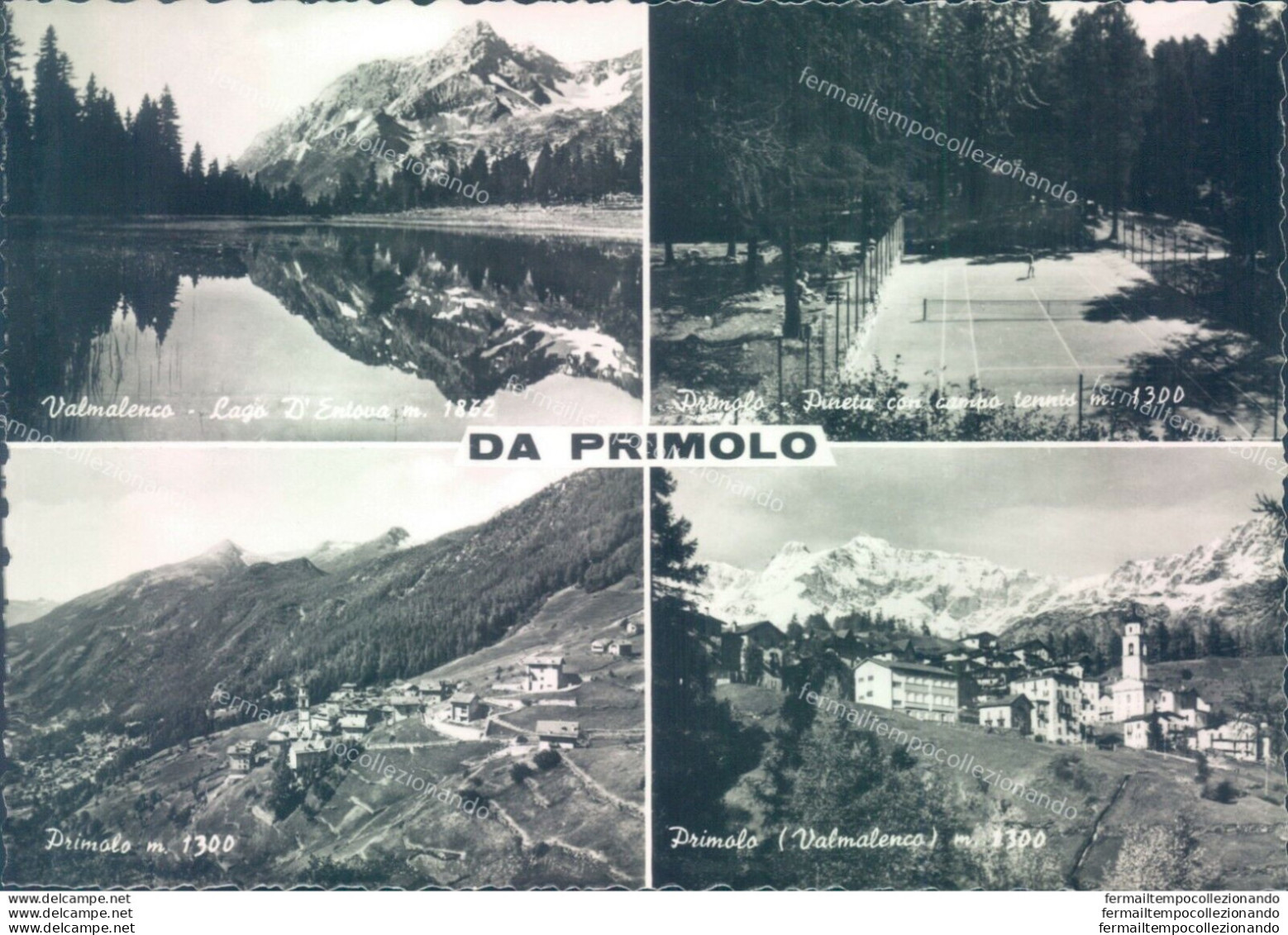 D624 - Cartolina  Provincia Di Sondrio - Primolo 4 Vedutine - Sondrio
