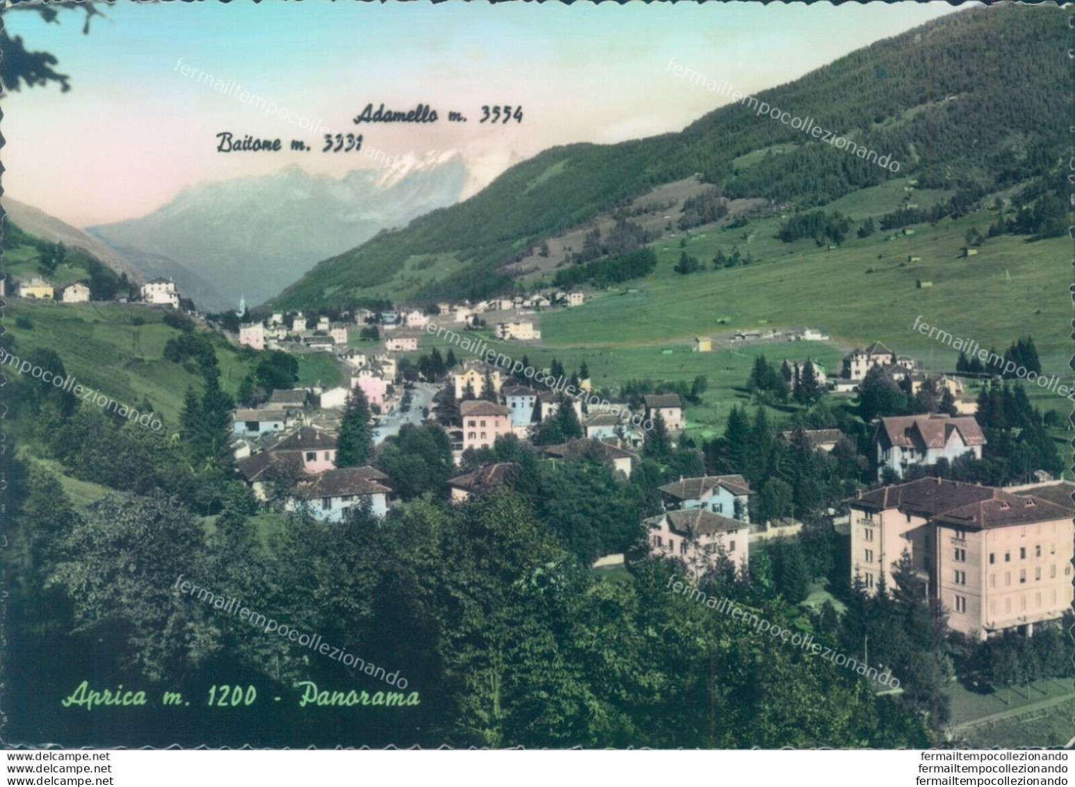 D534 - Cartolina  Provincia Di Sondrio- Aprica  Panorama - Sondrio