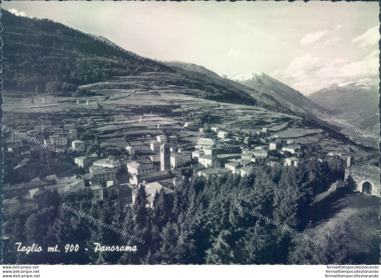 D99 -cartolina  Provincia Di Sondrio -teglio Panorama - Sondrio