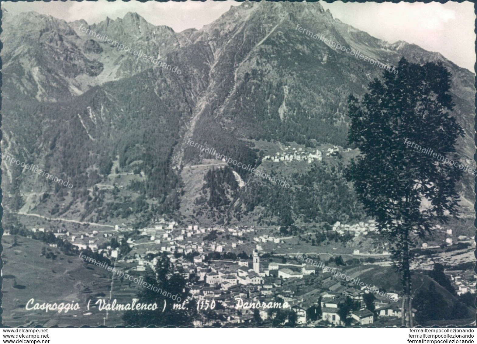 D613 - Cartolina Provincia Di Sondrio - Valmalenco  Caspoggio - Sondrio