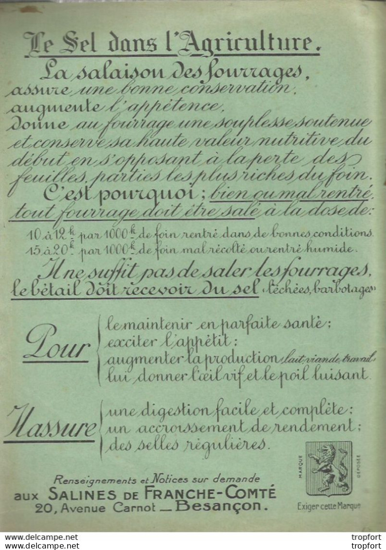 Protège-Cahiers Ancien // Eleve Maurice CAILLOT CHAULGNES NIEVRE LE SEL Ses Usages Sel Le Lion Besancon - Copertine Di Libri