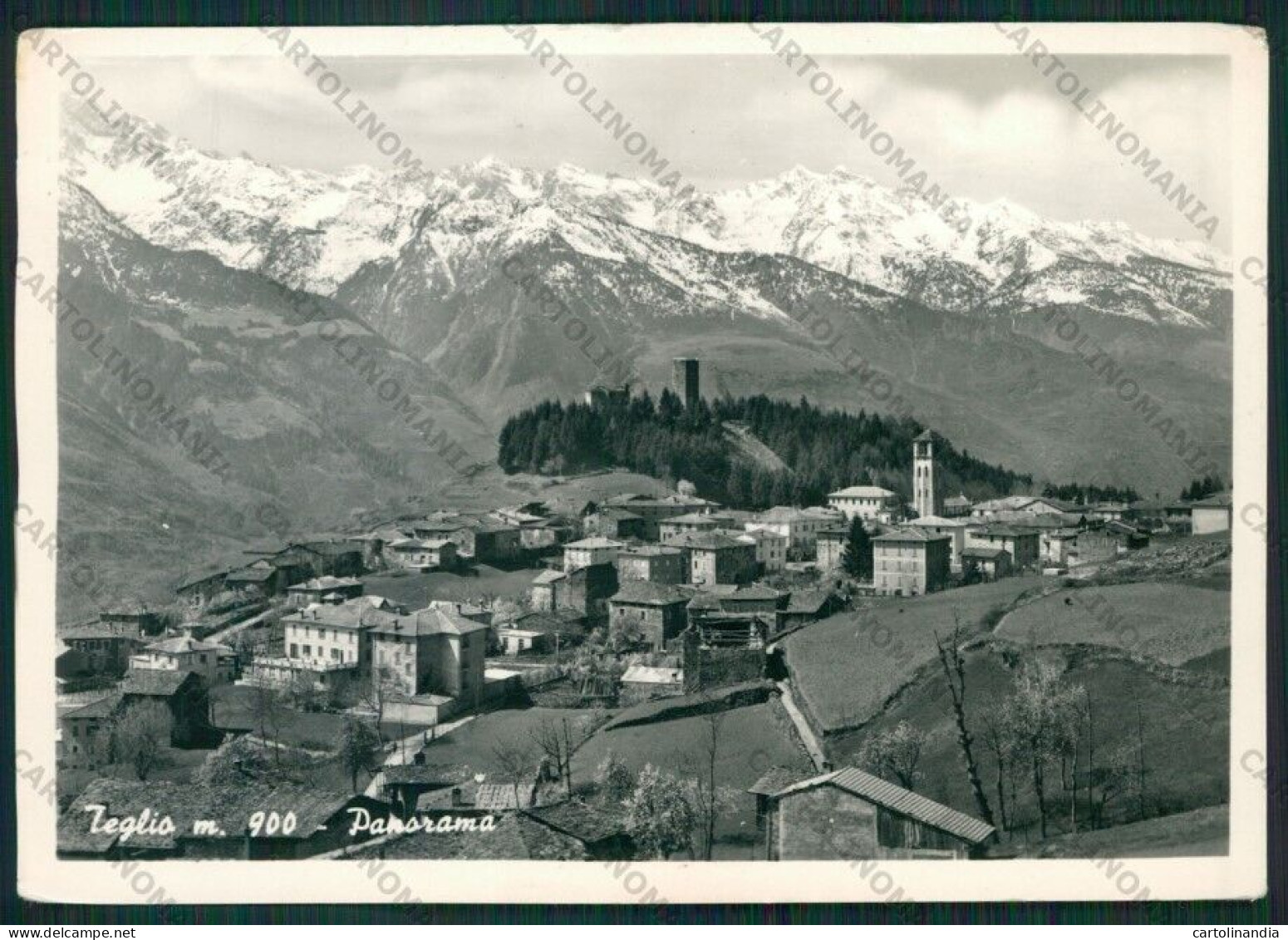 Sondrio Teglio Foto FG Cartolina ZK1858 - Sondrio