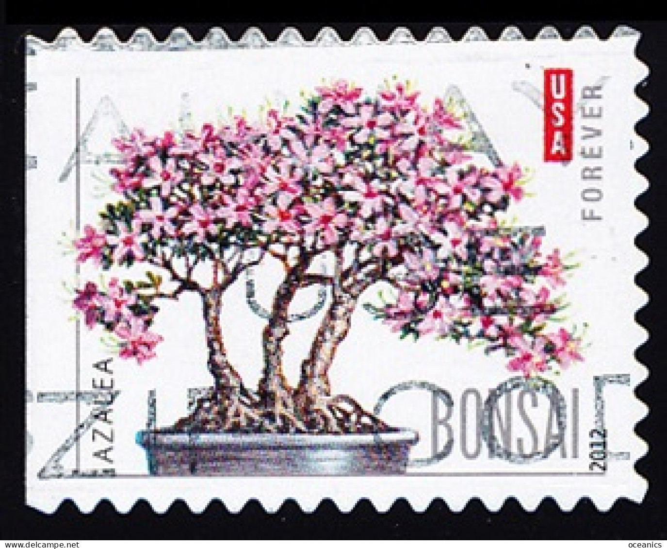 Etats-Unis / United States (Scott No.4622 - Bonsai) (o) P3 Left - Usados