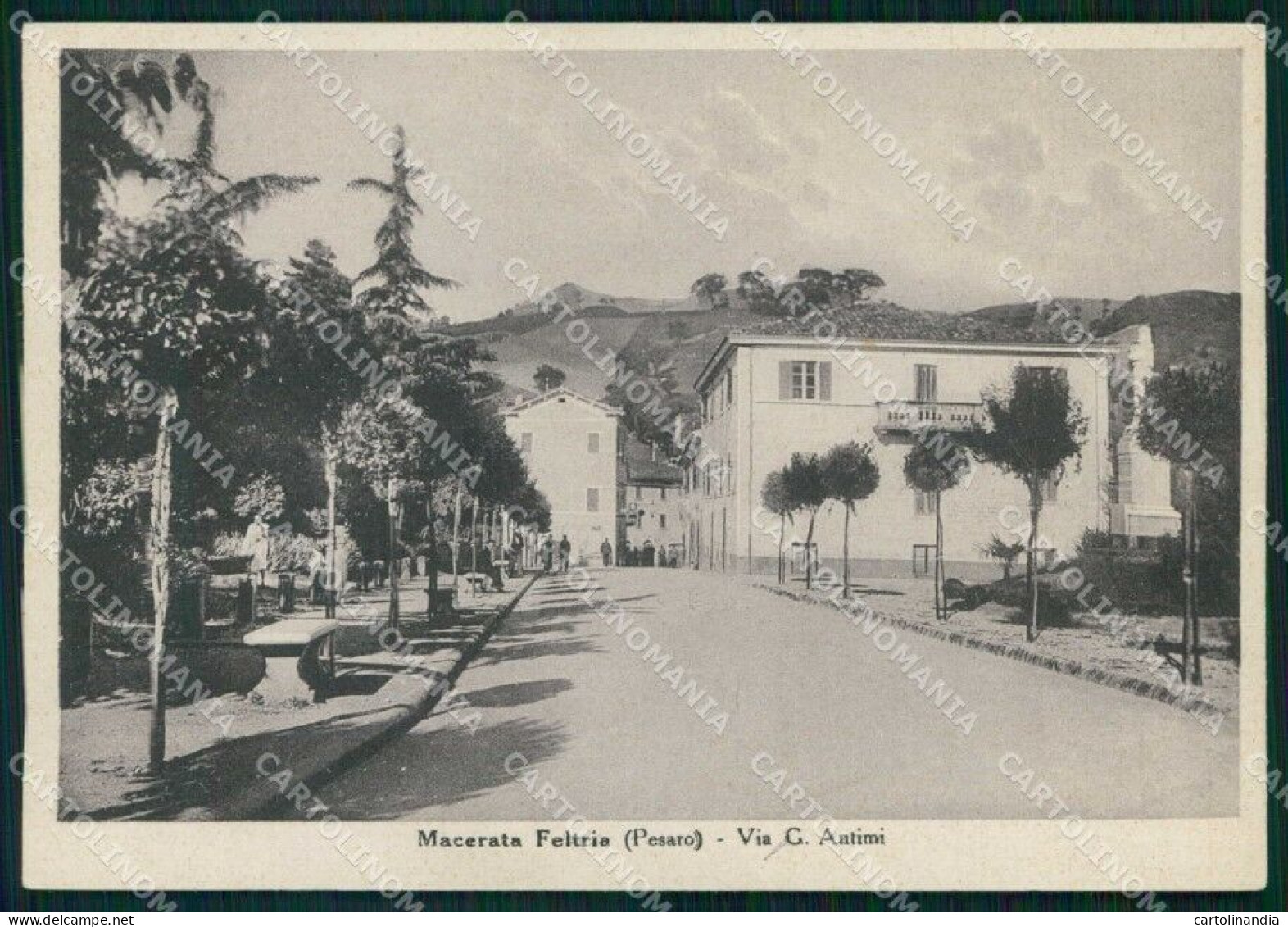 Pesaro Macerata Feltria Via Antimi FG Cartolina RB9308 - Pesaro