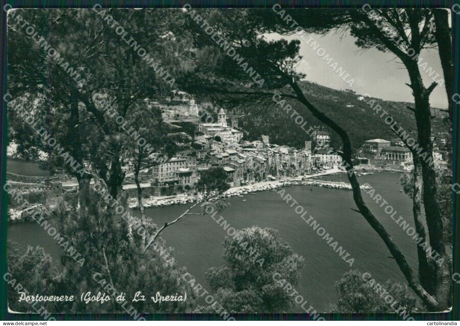 La Spezia Portovenere Foto FG Cartolina KB3620 - La Spezia