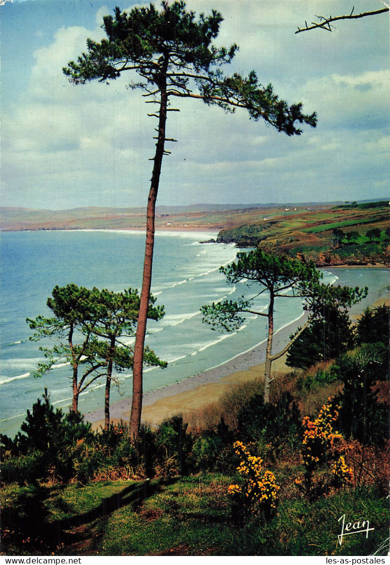 29 DOUARNENEZ LA PLAGE DU RIS  - Douarnenez