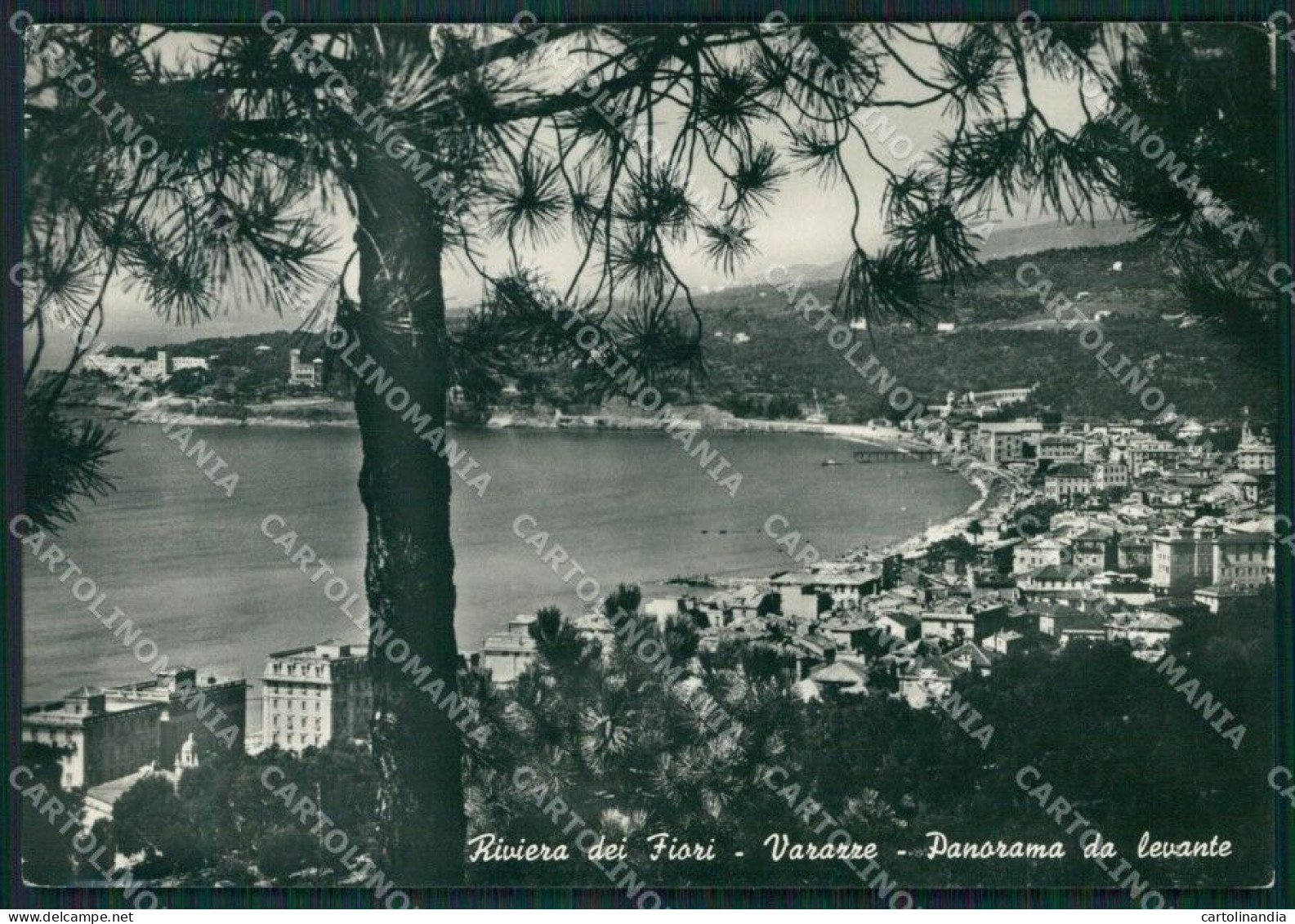 Savona Varazze Foto FG Cartolina KB3627 - Savona