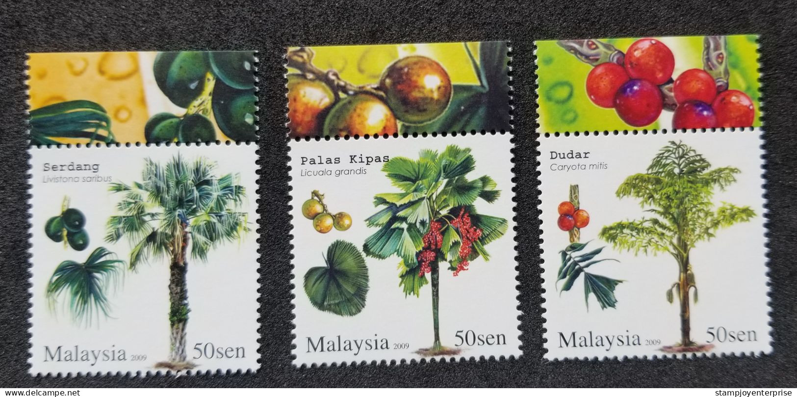 Palm Trees Malaysia 2009 Plant Flower Flora Food Tree (stamp Margin) MNH - Malaysia (1964-...)