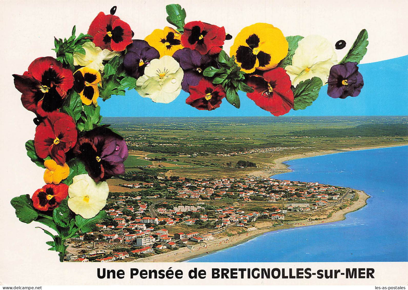 85 BRETIGNOLLES SUR MER - Bretignolles Sur Mer