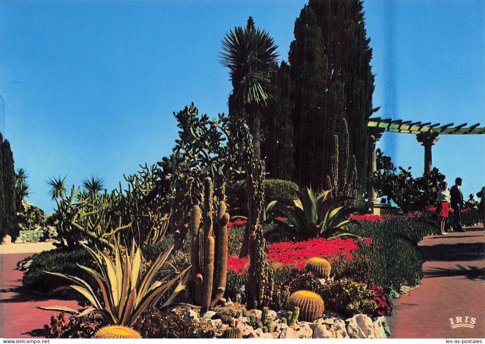 98 MONACO LE JARDIN EXOTIQUE - Jardin Exotique