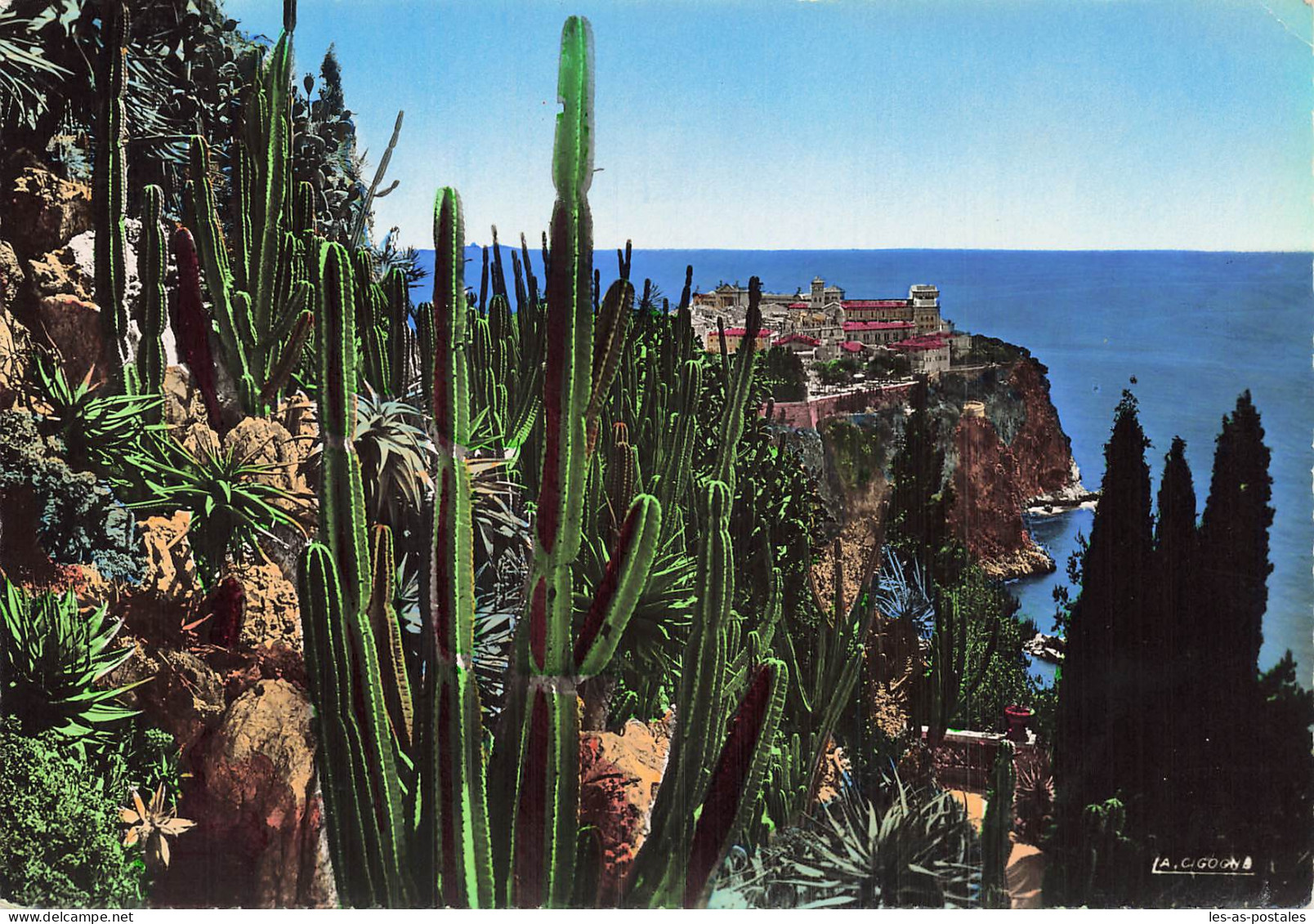 98 MONACO LES JARDINS EXOTIQUES - Giardino Esotico