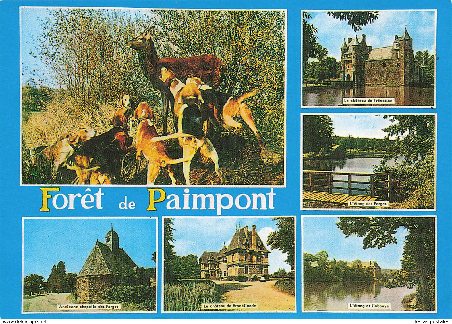 35 PAIMPONT LA FORET - Paimpont