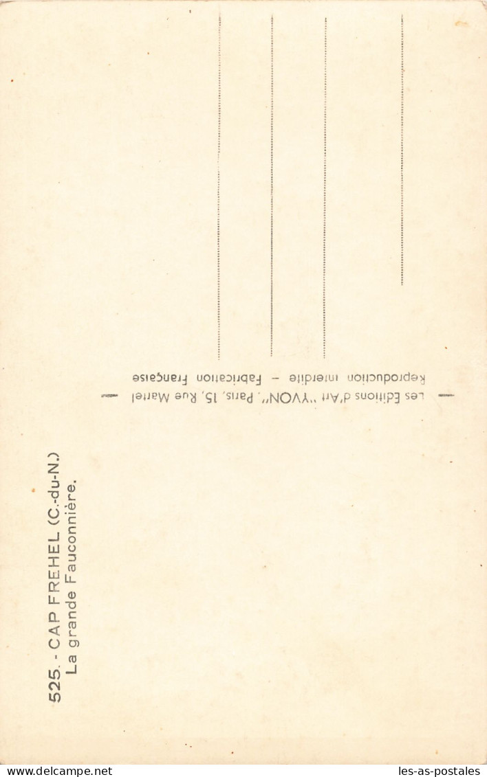22 LE CAP FREHEL LA GRANDE FAUCONNIERE - Cap Frehel