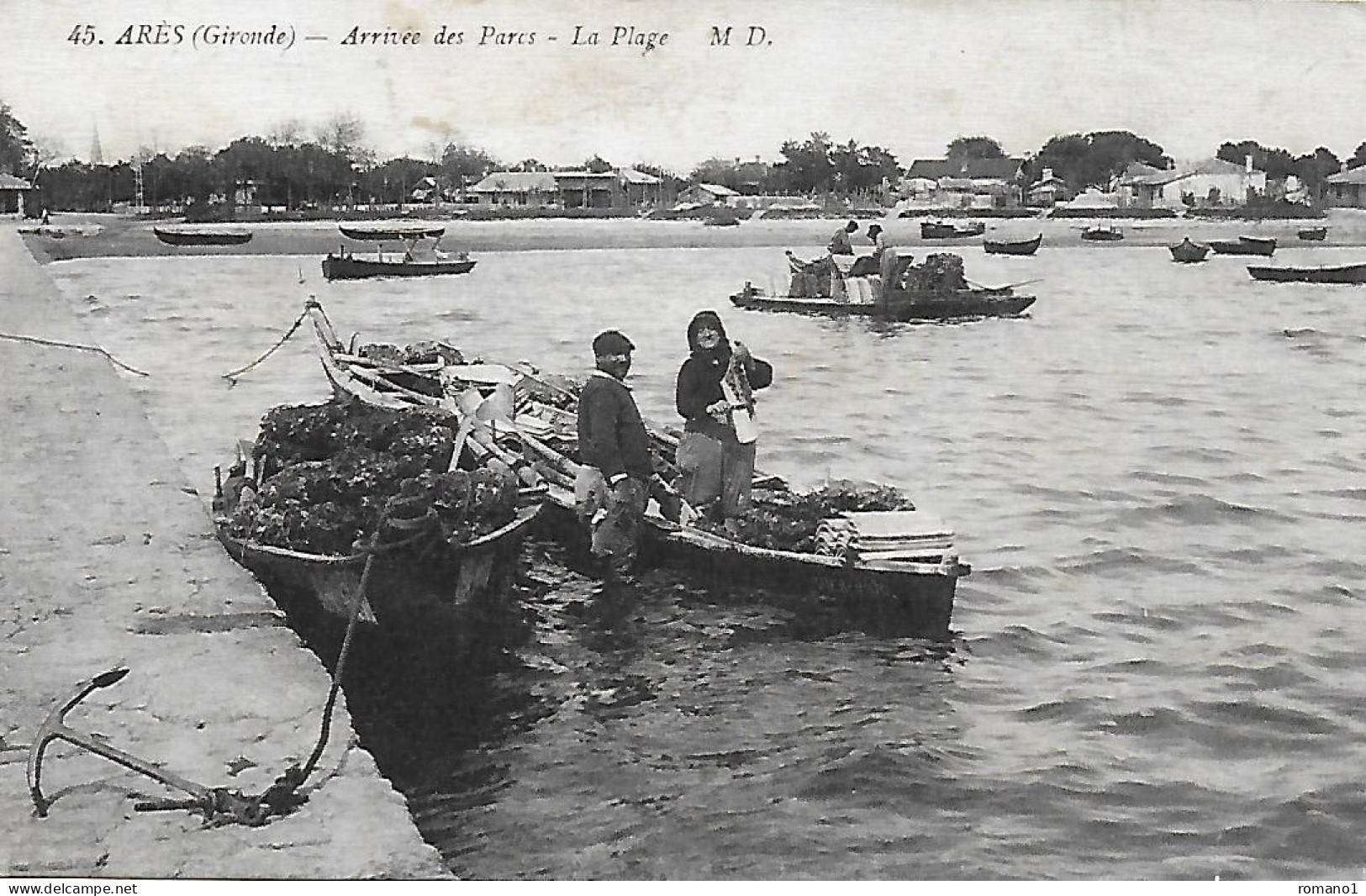 33)  ARES -  Arrivée Des Parcs ( D' Huîtres ) - La PLage - Arès