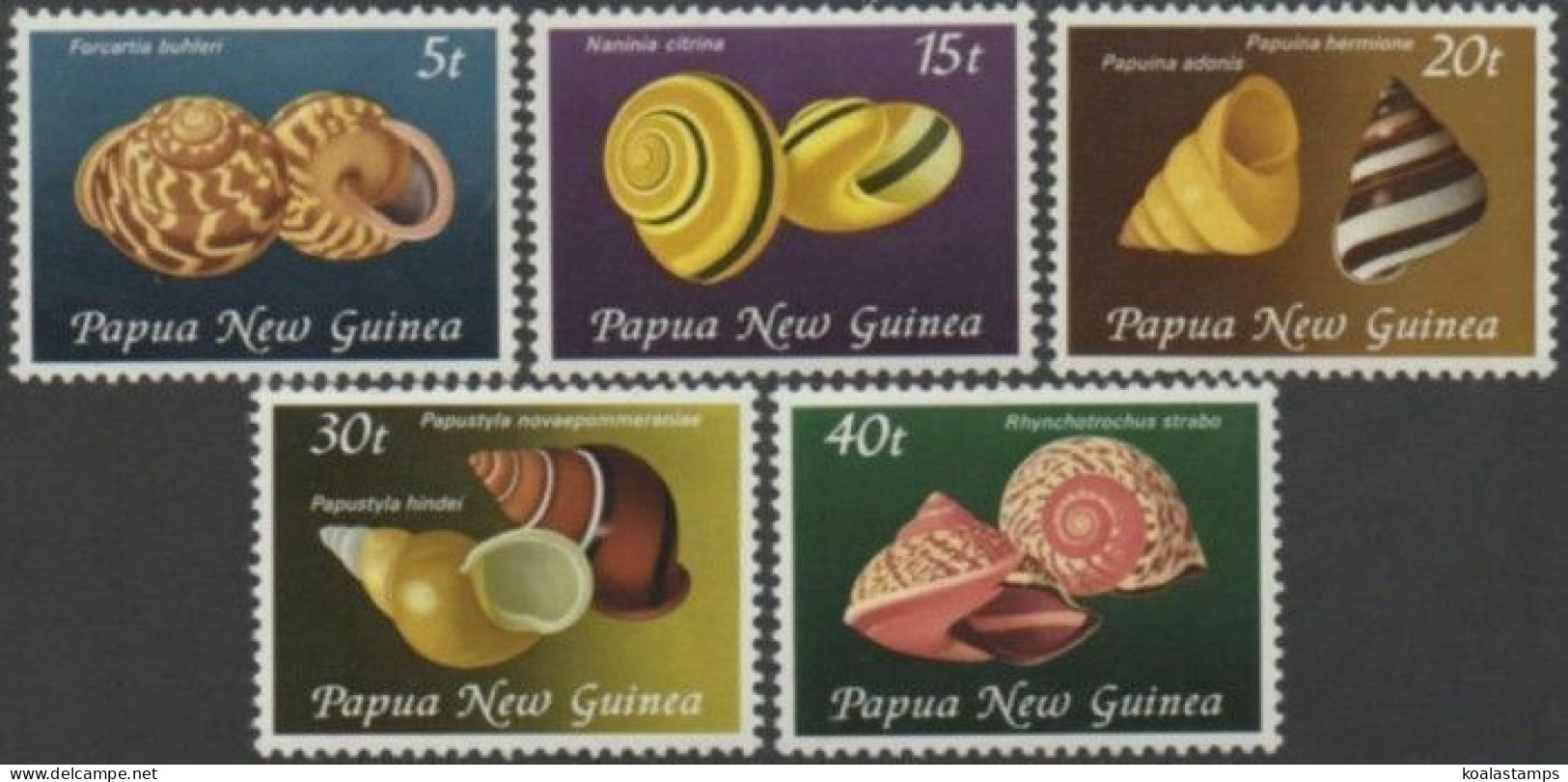 Papua New Guinea 1981 SG421-425 Land Snail Shells Set MLH - Papua New Guinea