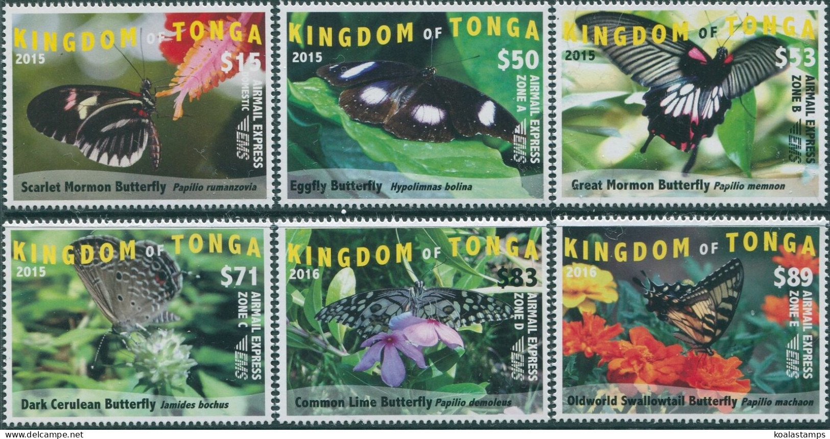 Tonga Express 2015 SGE7-E12 Butterflies Set MNH - Tonga (1970-...)