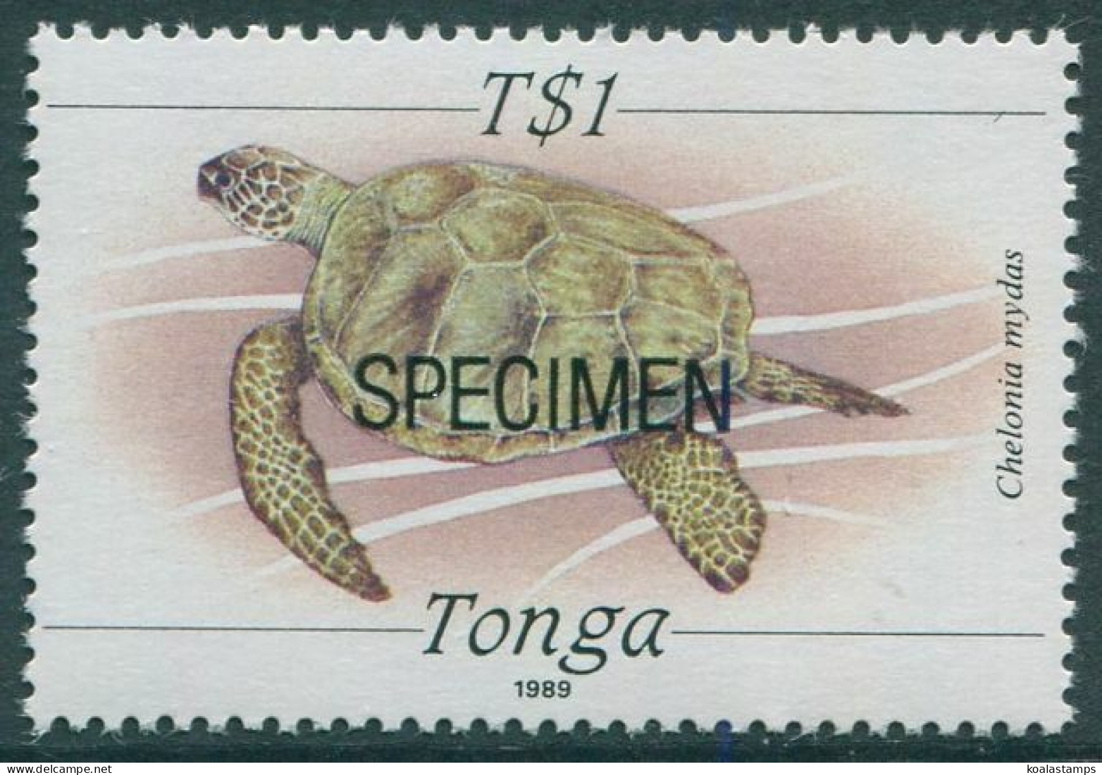 Tonga 1989 SG1013 1p Turtle SPECIMEN MNH - Tonga (1970-...)
