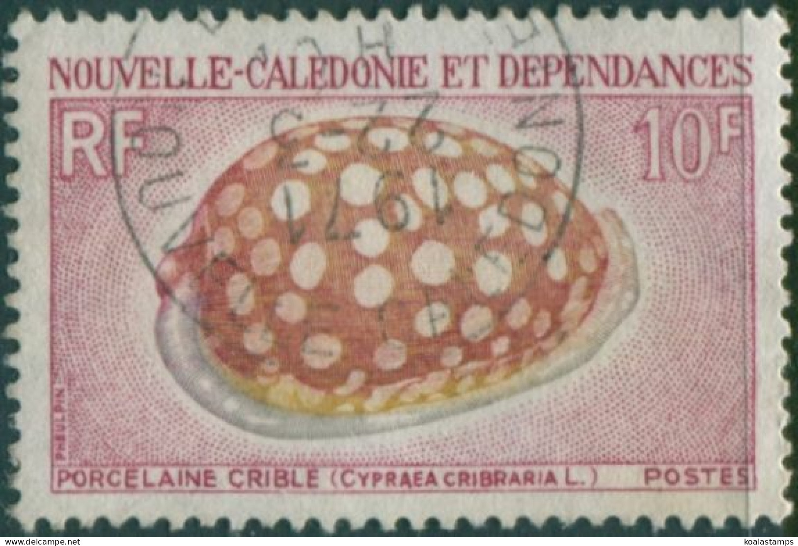 New Caledonia 1968 SG449 10f Sieve Cowrie Shell FU - Other & Unclassified