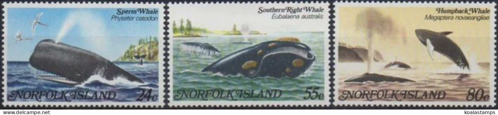 Norfolk Island 1982 SG284-286 Whales Set MNH - Isla Norfolk