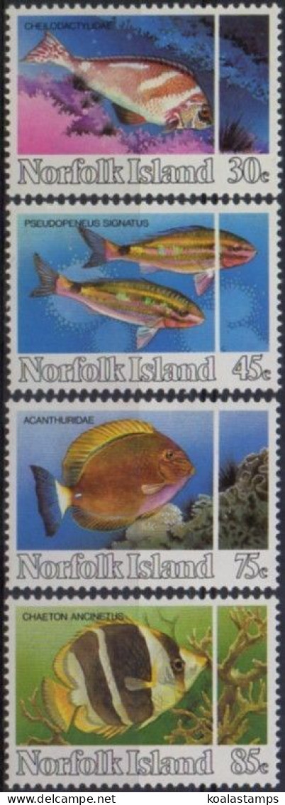 Norfolk Island 1984 SG334-337 Reef Fish Set MNH - Isola Norfolk