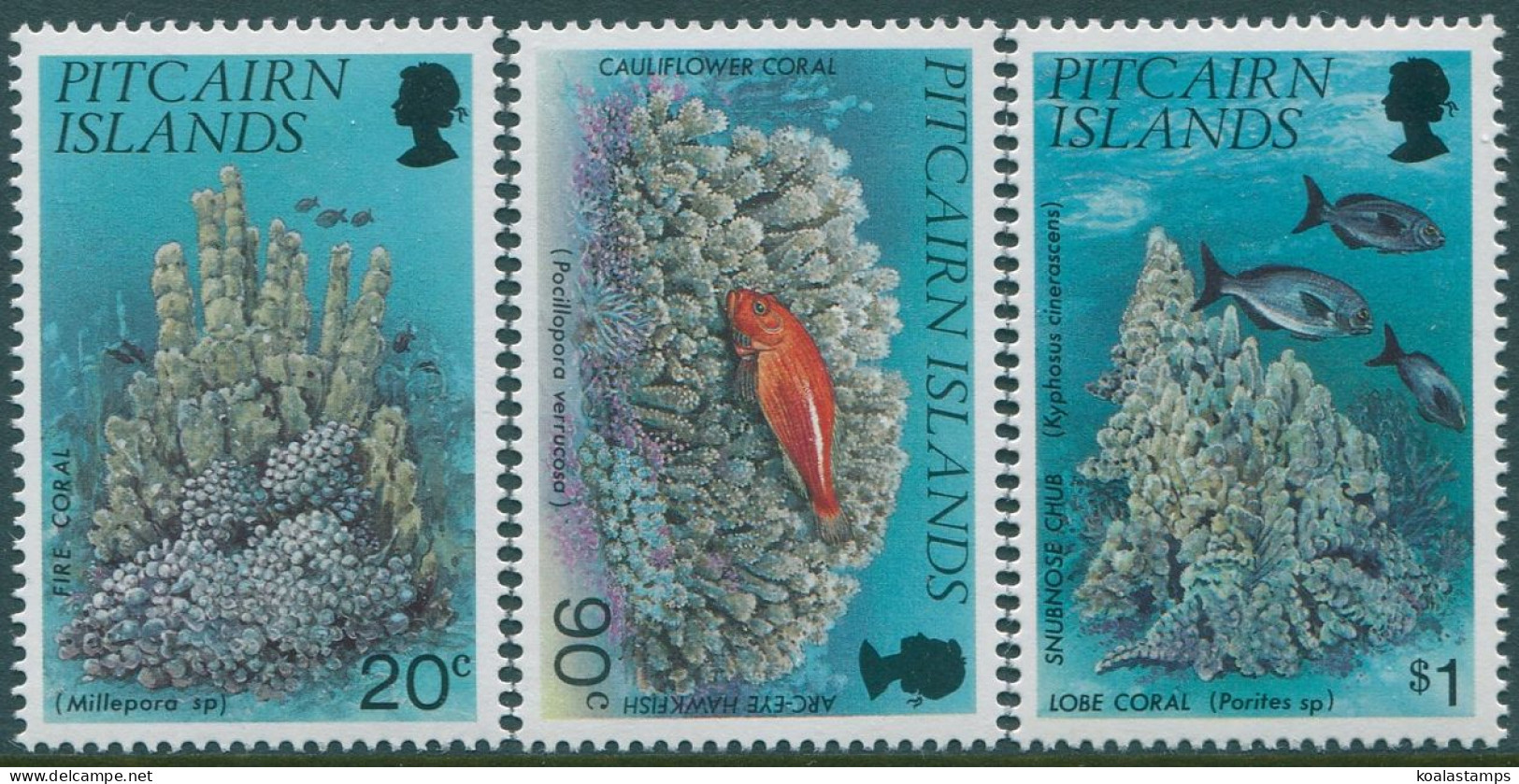 Pitcairn Islands 1994 SG454-456 Corals Set MNH - Pitcairn