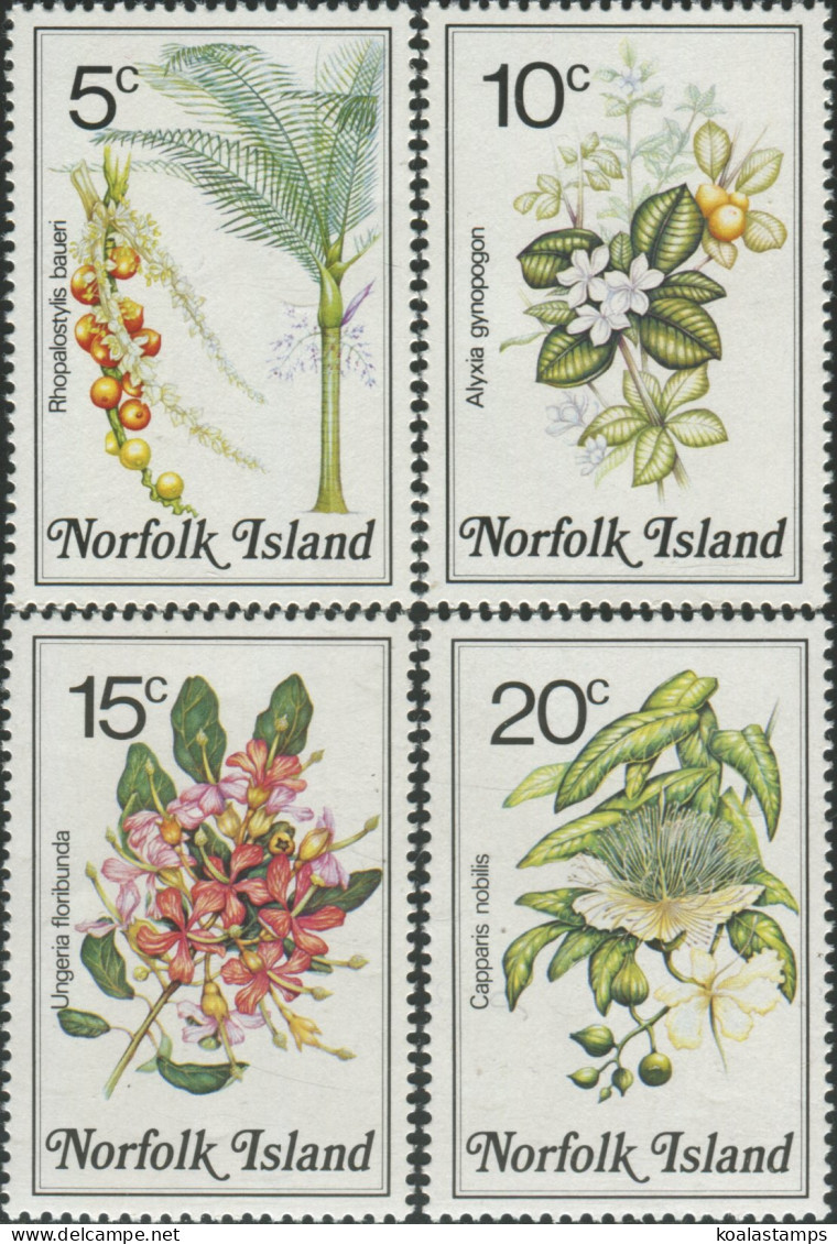 Norfolk Island 1984 SG322-325 Flowers MNH - Isola Norfolk
