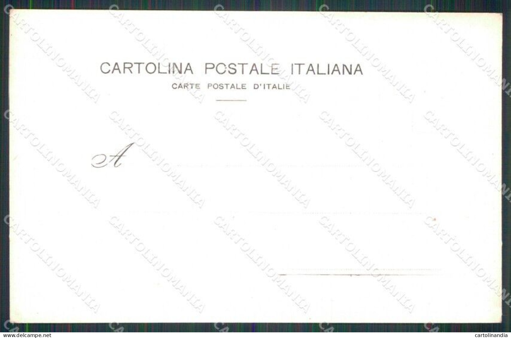 Potenza Città Piazza 18 Agosto Cartolina RB9984 - Potenza