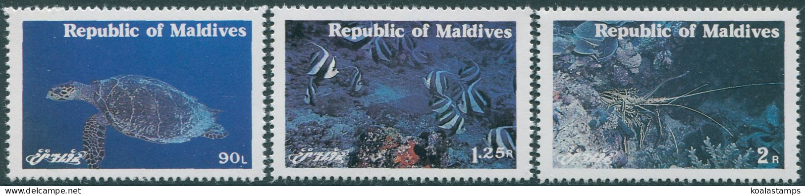 Maldive Islands 1980 SG909-911 Marine Animals Set MNH - Malediven (1965-...)