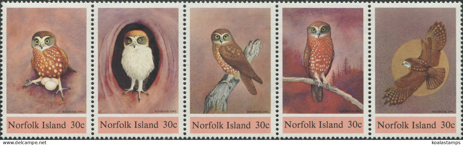 Norfolk Island 1984 SG338-342 Owls Strip MNH - Norfolk Eiland
