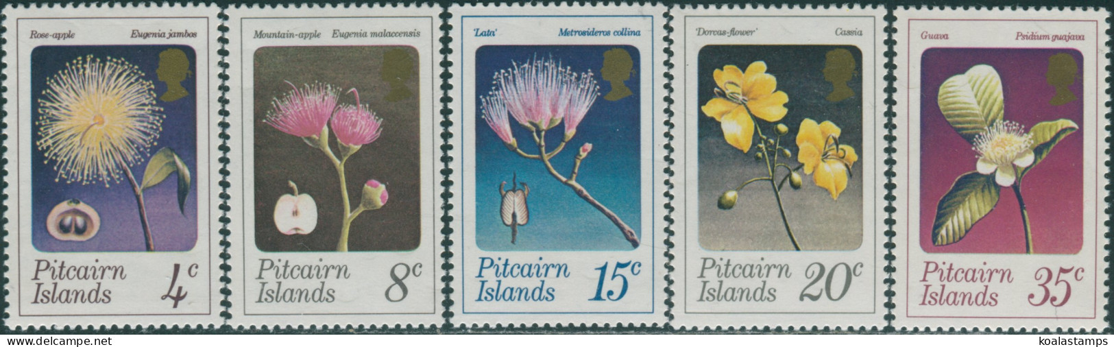 Pitcairn Islands 1973 SG126-130 Flowers Set MNH - Islas De Pitcairn