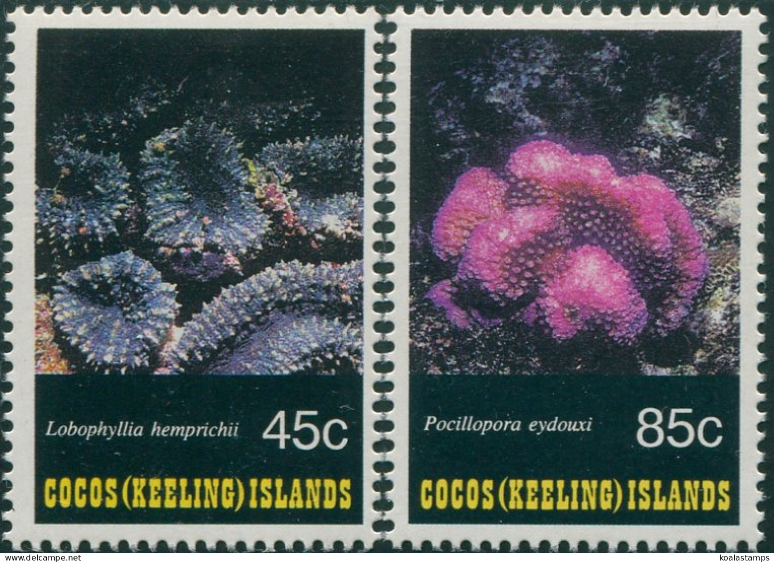 Cocos Islands 1992 SG276 Corals Part Set MNH - Kokosinseln (Keeling Islands)