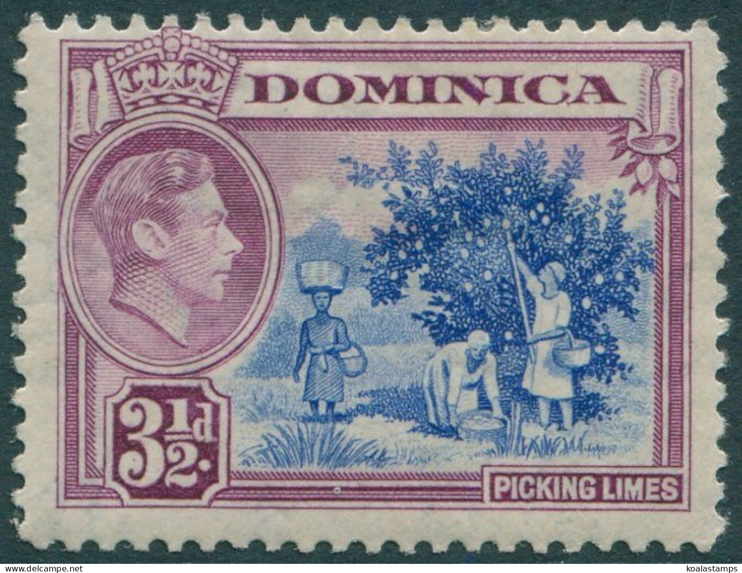 Dominica 1938 SG104a 3½d Purple And Ultramarine And Purple KGVI Picking Limes ML - Dominica (1978-...)