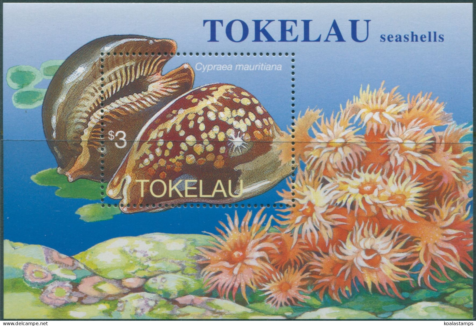 Tokelau 1996 SG254 Humpback Cowrie Shell MS MNH - Tokelau