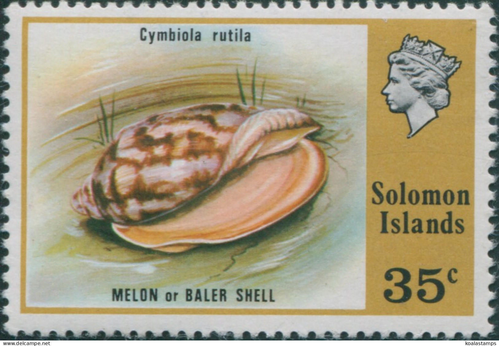 Solomon Islands 1976 SG316 35c Blood-red Volute Shell MNH - Isole Salomone (1978-...)