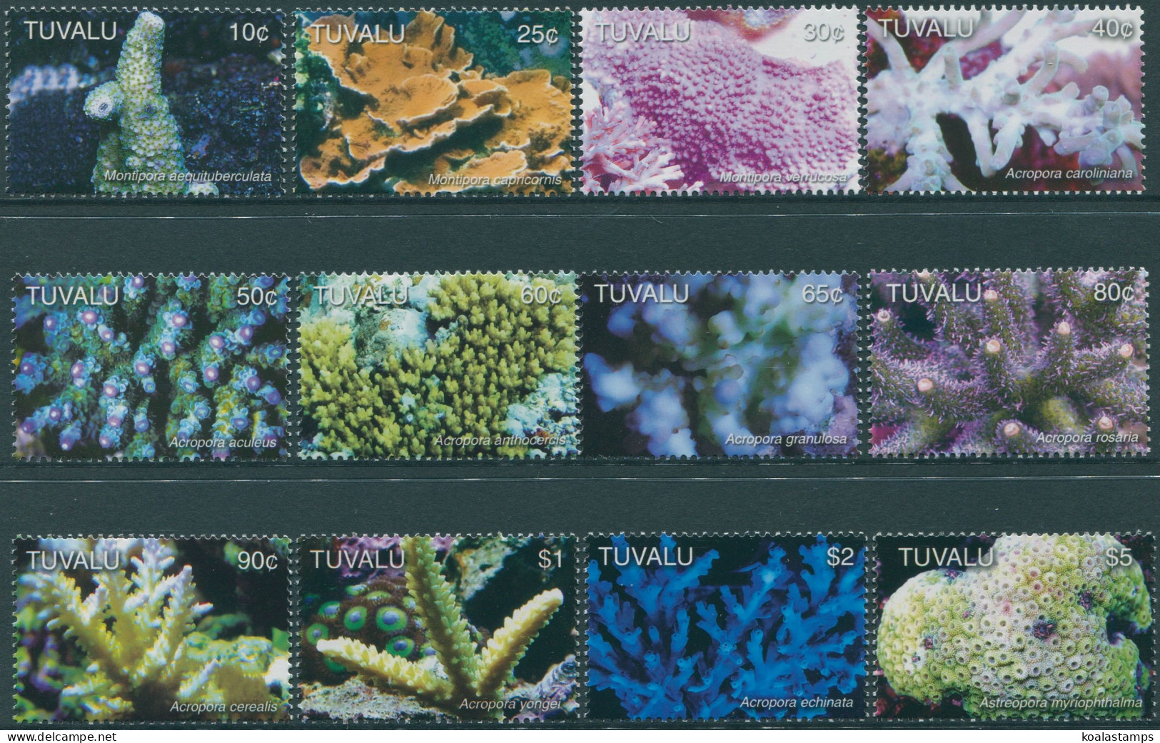 Tuvalu 2006 SG1208-1219 Corals Set MNH - Tuvalu (fr. Elliceinseln)