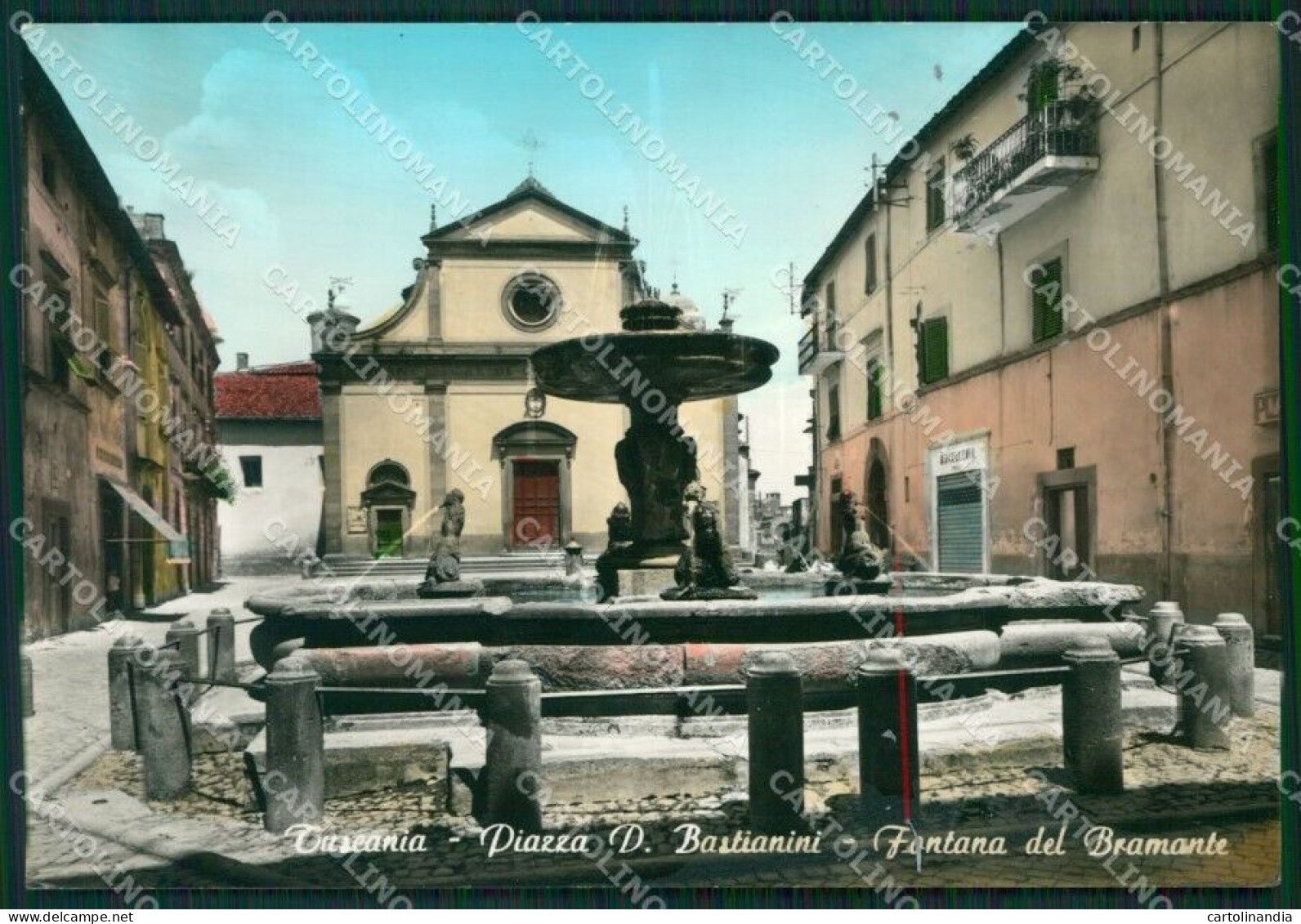 Viterbo Tuscania Fontana Bramante Foto FG Cartolina ZKM8096 - Viterbo