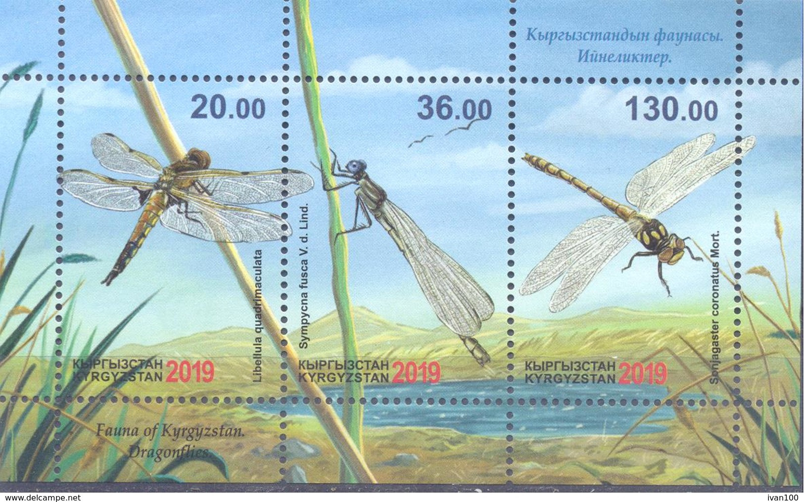 2019. Kyrgyzstan, Dragonflies, S/s Perforated,  Mint/** - Kirghizistan