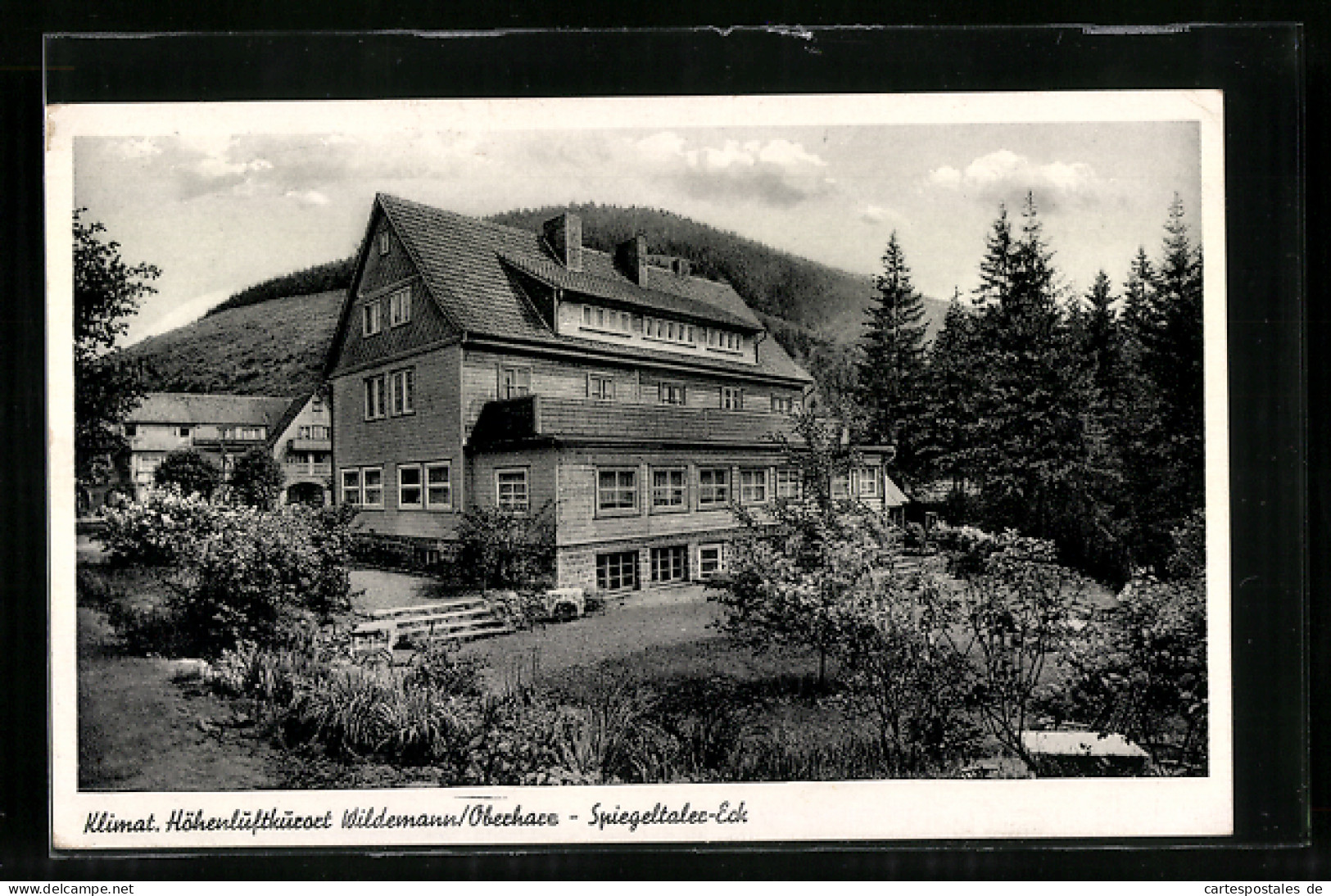AK Wildemann /Harz, Haus Spiegeltaler-Eck  - Wildemann