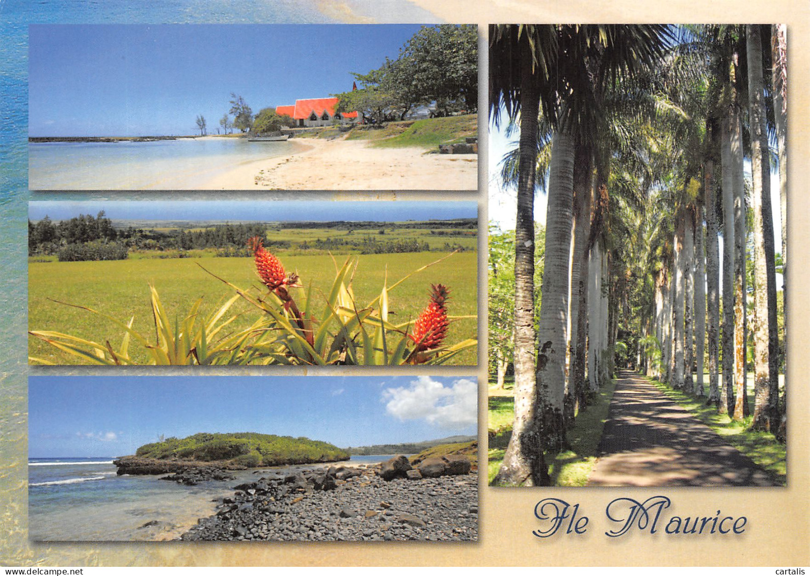 MAU-ILE MAURICE-N°4261-C/0271 - Maurice