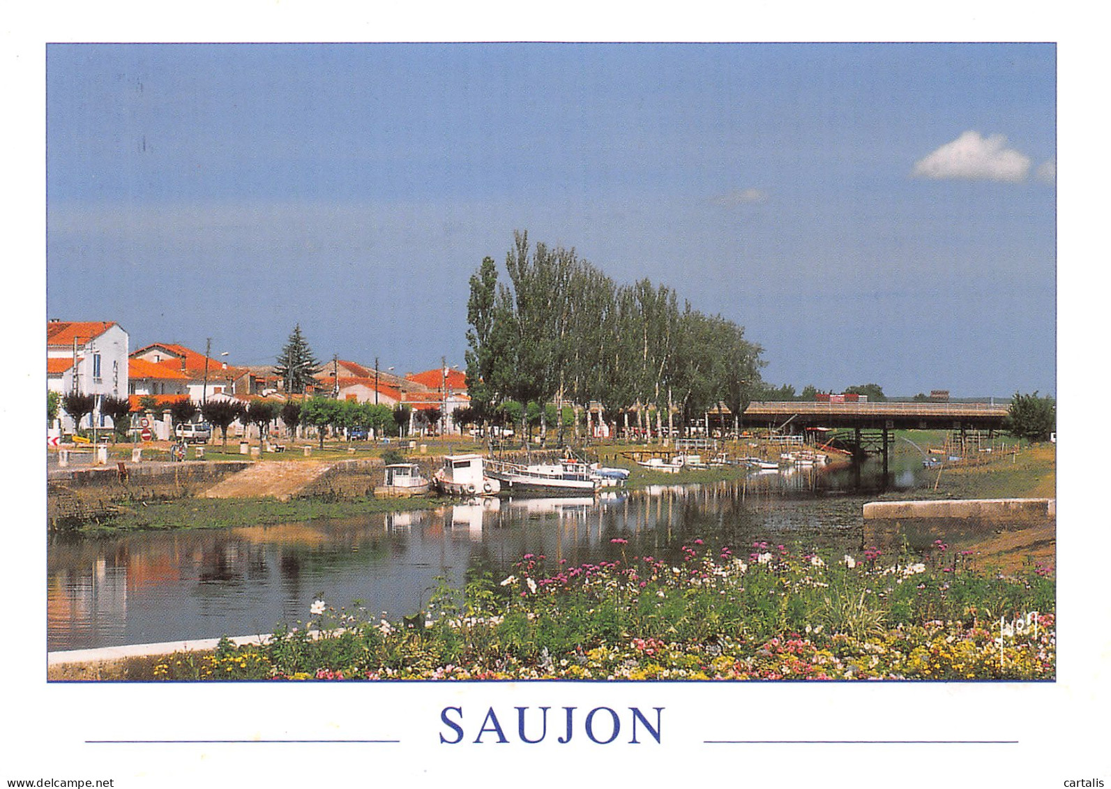 17-SAUJON-N°4261-C/0225 - Saujon